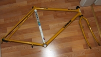 Longus Competition Pro 2000 MTB (1991)