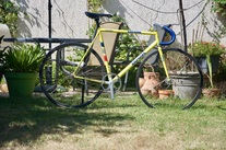look kg233p track