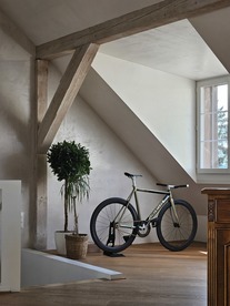 Löwenzahn BS01