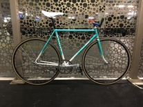 M-Idea NJS mint green fade 52cm photo