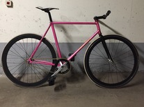 Maeda NJS