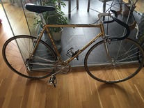 Magni Exclusiv 18k Gold campagnolo 50th photo