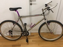 Magni Titanized MTB