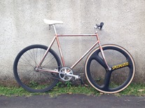 Makino NJS bronze chrome photo