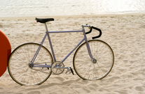 Makino njs lilac