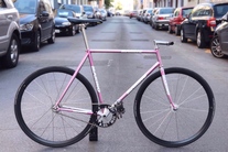 Makino NJS Pink Fade