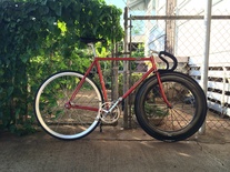 Makino Track NJS Gold Flaked