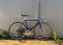 Makino Track NJS Rainbow Flake photo