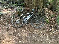 Marin Pine Mountain 1995 photo