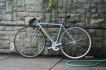 masi classic photo