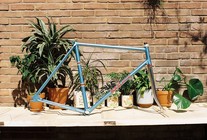 Masi Special pista 1960's frameset