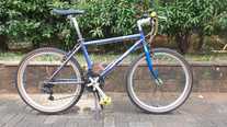 MTB: Master Champion All Terra 26"