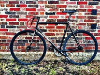 Mercier Kilo TT photo