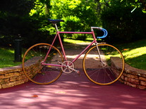 Mercier Pink Track Bike