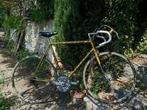 Mercier vitus service des courses photo