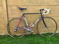 Merckx Corsa