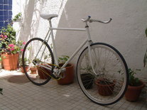 Mexican-Italian bike