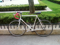 Miele Road Bike photo