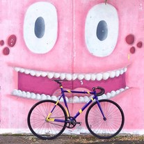 Mielec "Violet & Yellow" bike