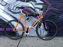 Milwaukee Polo Bruiser (Eddy Orange)