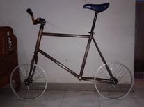 MiniVelo