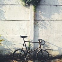 Minivelo Fixed Gear photo