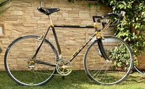 MIYATA CENTURY