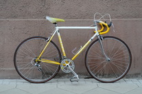 Mondia