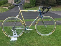 Moser Leader AX Evolution photo