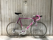 Moser Leader AX evolution photo