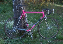 Moser Leader SC