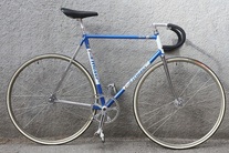 Moser pista