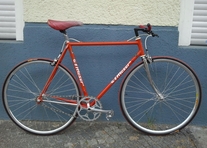 Moser - Singlespeed photo