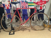 Moser Special 1980