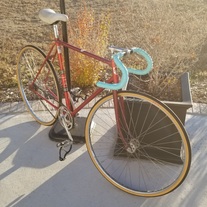 Mundo Cycles fixed gear photo