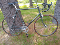 My first, and last, bike photo