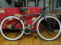 My GF's Dolan Pre Cursa