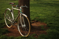 My Girlfriend's Townie