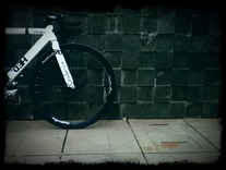 White VISP NXL photo