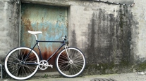 My Taiwan Ride photo