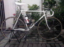 My White Raleigh USA