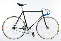 Nagasawa Black Rainbow Flake NJS photo