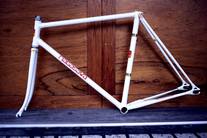 nagasawa special '85@CCOL photo