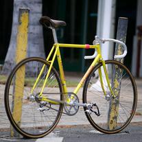 Nagasawa Special 1984