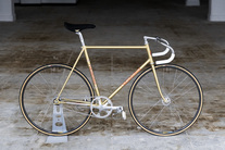 NAGASAWA Special Gold