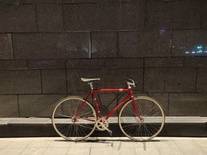 Nagasawa Special Nakano red photo