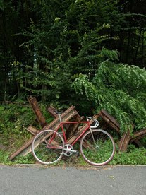 Nagasawa Special Nakano Red