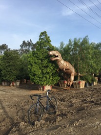 Nashbar single speed cyclocross photo