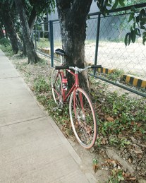 National Fixedgear bike