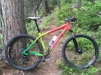 Neon RattleCan-Rasta 29er photo